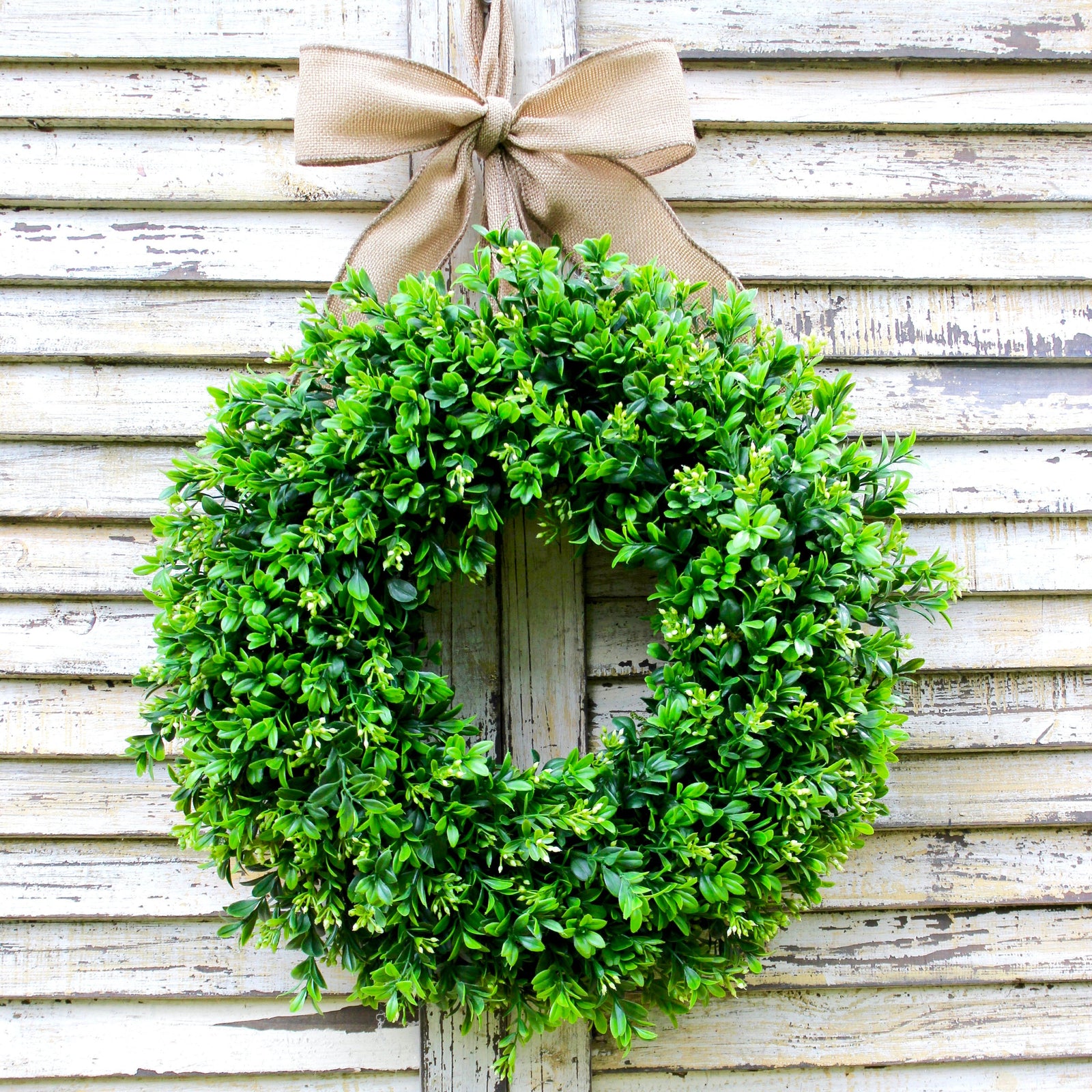 Boxwood Wreath with Bow