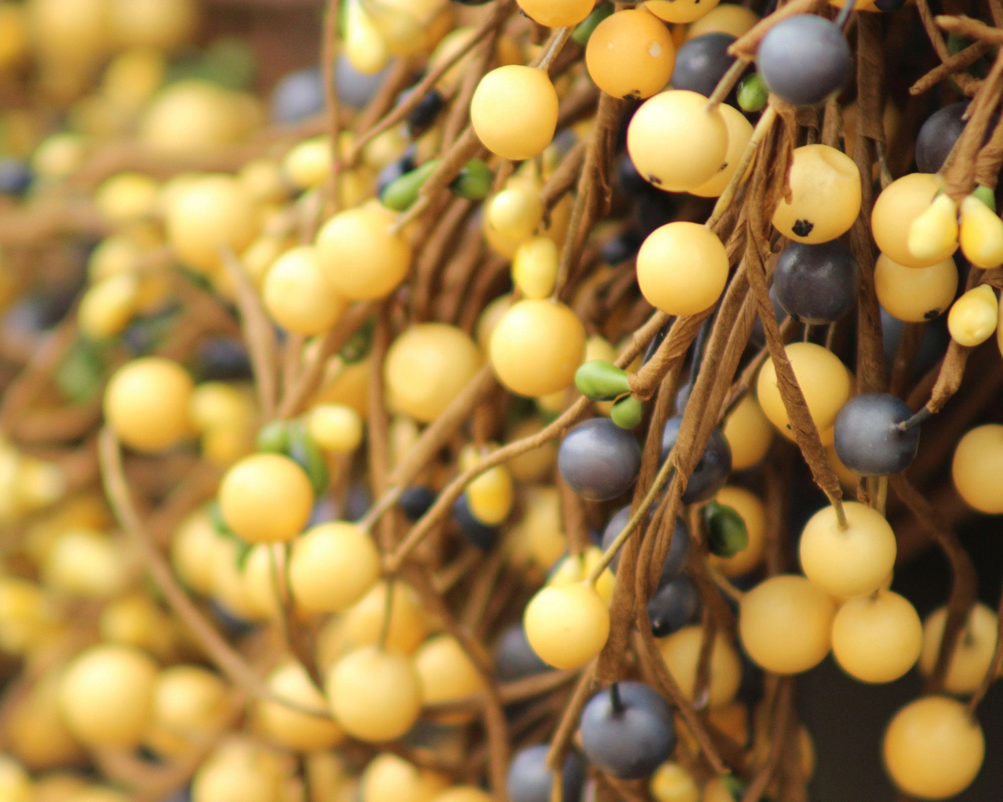 Yellow Blue & Green Berry Wreath